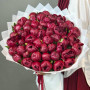 51 бордовый пион фото 4